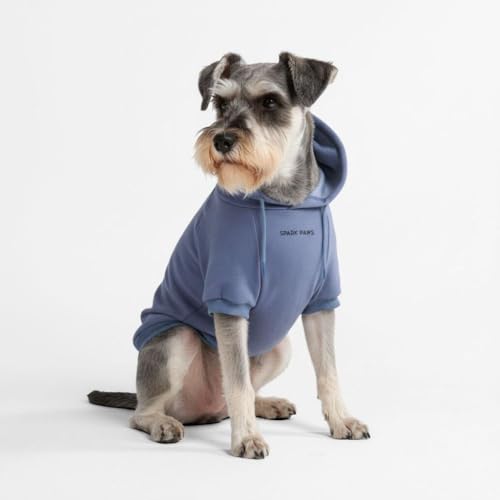 Dog Hoodie Buttery (Slate Blue / Medium)