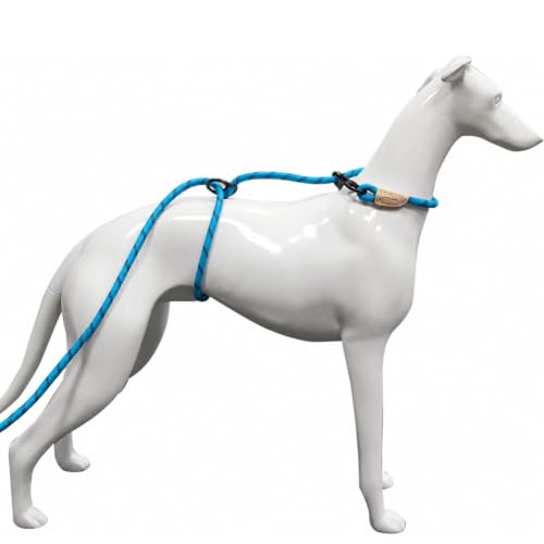 Yokum No Chokum 12ft No Pull No Choke Dog Leash (12 Ft / TEAL)