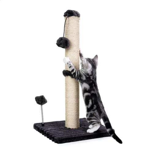 Cat Scratching Post Premium Basics Kitten Scratcher Sisal Scratch Posts with Hanging Ball 22in for Kittens or Smaller Cats (22 inches for kitten / Charcoal Gray)