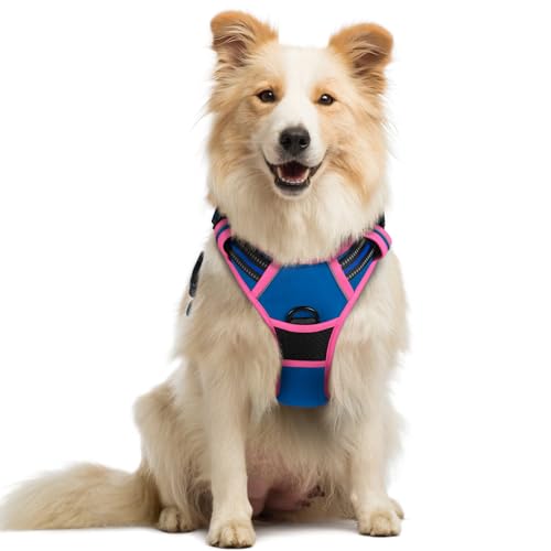 Dog Harness No Pull Medium Sized with 2 Leash Clips (Medium / Blue & Hot Pink)