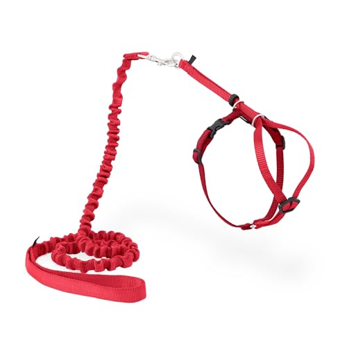 Come With Me Kitty Harness and Bungee Leash (Medium (Pack of 1) / Red)
