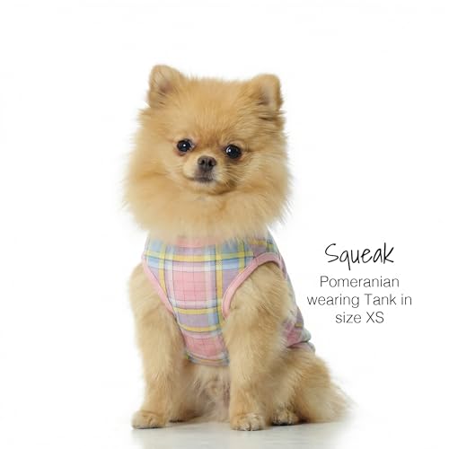Tank Dog T Shirt (XX-Large / Pink Rainbow Plaid)