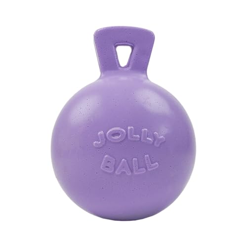Tug-n-Toss Heavy Duty Dog Toy Ball with Handle, 6 Inches/Medium, Light Purple (Light Purple / Medium (6 in))