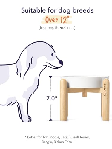 Ceramic Slow Feeder Dog Bowls Elevated (Angle White+Stand / M-1.5 Cups)