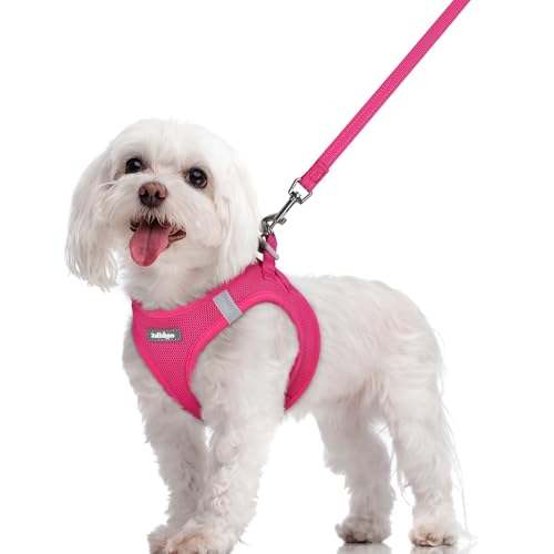 Dog Harness Medium Sized and Leash Set (Rose Red / M (chest: 16 - 18.5"))