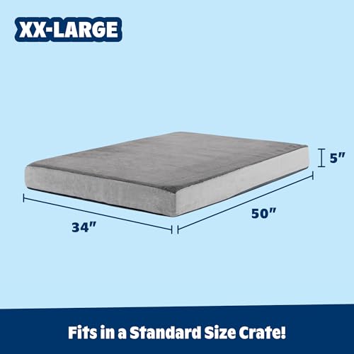 Orthopedic Dog Bed (Grey / XX-Large)