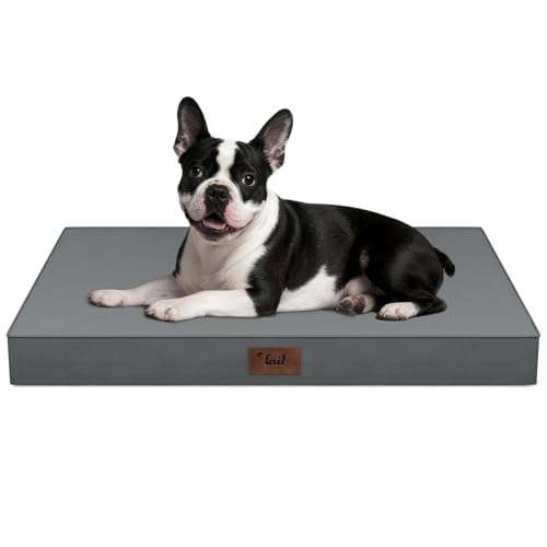 Orthopedic Waterproof Dog Bed for Small Dogs and Cats (Grey / 29.0"L x 18.0"W x 3.0"Th)