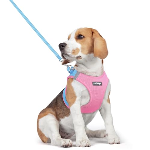 Dog Harness Medium Sized and Leash Set (Blue & Light Pink / L (chest: 18.2 - 20.5"))