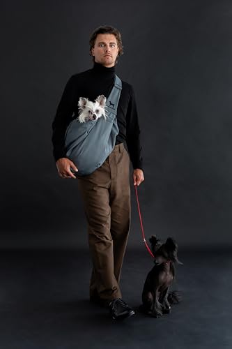 Dog Sling Carrier for Small Dogs 5 (Grey / 18.0"L x 10.0"W x 6.5"H)
