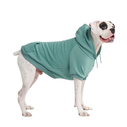 Dog Hoodie Buttery (Teal / 4XL)