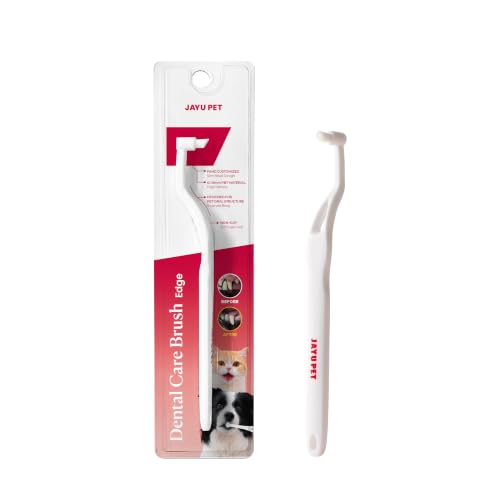 Dental Care Brush with Edge Bristles 1ea (Edge Bristles / 1 Count (Pack of 1))