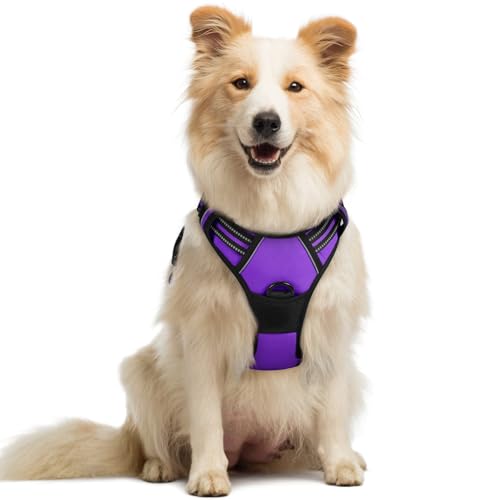 Dog Harness No Pull Medium Sized with 2 Leash Clips (Medium / Purple)