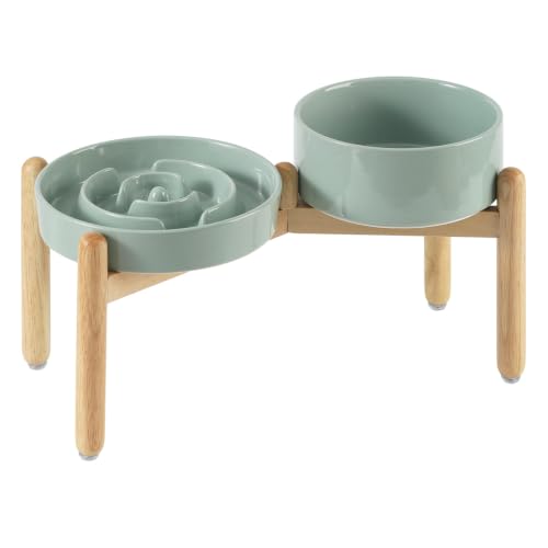 Elevated Slow Feeder Dog Bowls (Light Green)