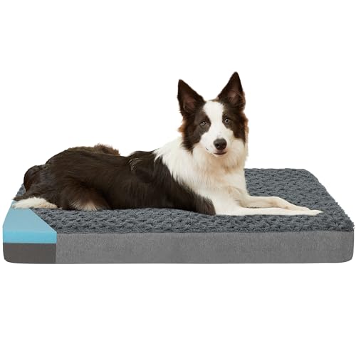 Orthopedic Memory Foam Bed for Large Dogs (Rose Plush / L Plus-36"x 27" x 3")