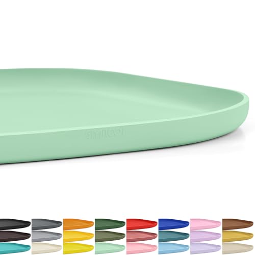 Waterproof Silicone Pet Food Mat with Raised Edge for Dog & Cat (Mint Green / 12"L x 12"W)