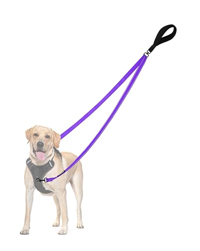 Two Point Control Dog Leash (Purple)