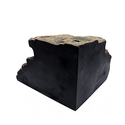 Bearded Dragon Tank Accessories Extra Large Cave