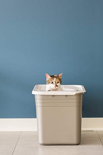 Enclosed Cat Litter Box with Hinged Lid (1 Count (Pack of 1) / Gray)