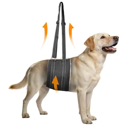 Adjustable Dog Lift Harness (Black03)