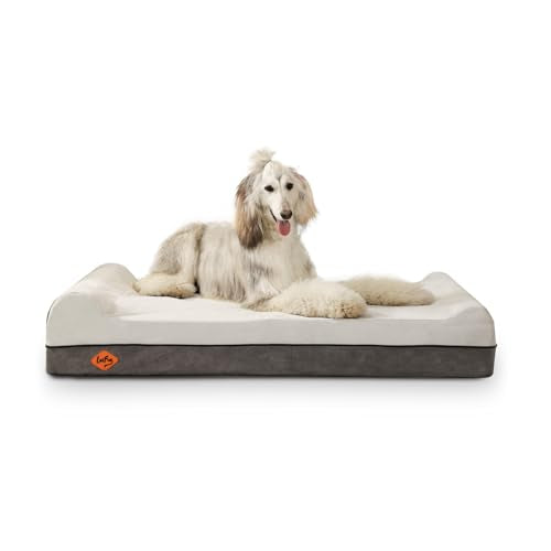 Orthopedic Dog Beds for Large Dogs (50.0"L x 36.0"W x 10.0"Th / Dark Grey)