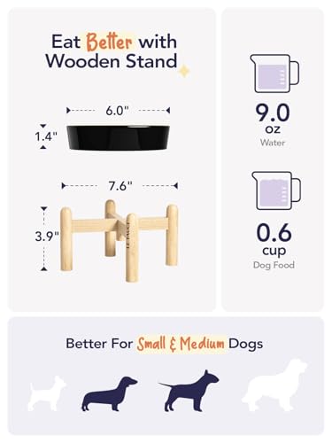 Ceramic Slow Feeder Dog Bowls Elevated (Skull Black+Stand / S-0.6 Cups)