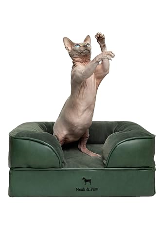 Small Dog Bed (Vegan Leather - Green / Small)