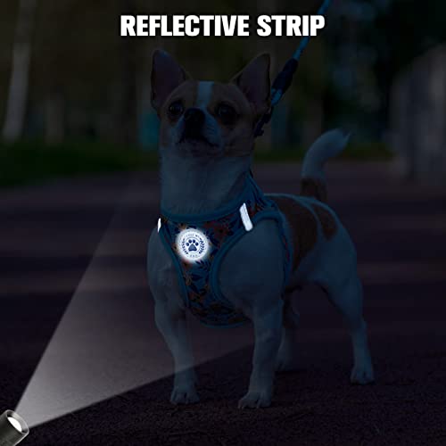 Small Dog Harness and Leash Set (XSmall(Chest Girth 13" - 14.5") / Blue Rose)