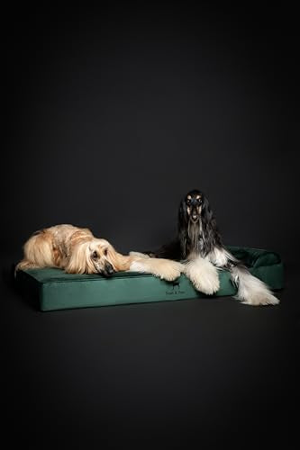 Giant Dog Bed XXL 55x45x9.5 Inch (Velvet - Dark Green / XX-Large)