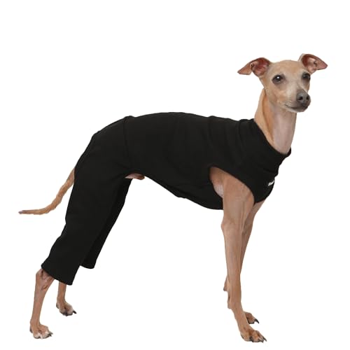 D Doggy Star Italian Greyhound Clothes High (L / COORDI BLACK)