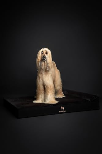 Giant Dog Bed XXL 55x45x9.5 Inch (Denim - Black / XX-Large)