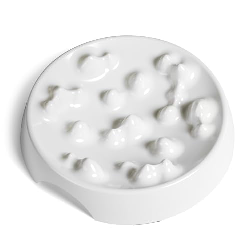 Whisker Friendly Slow Feeder Cat Bowl for Healthy Digestion (Slow Feeder / Marshmallow)