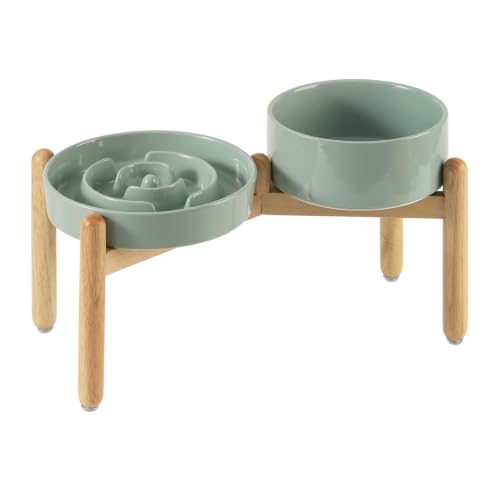 Elevated Slow Feeder Dog Bowls (Light Green)