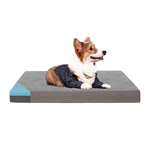 Orthopedic Memory Foam Dog Bed (Short Plush / Medium-29"x 18" x 3")