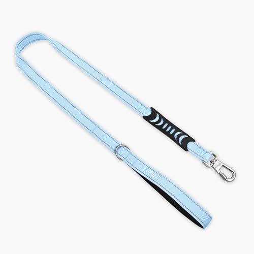 Classic Dog Leash (Sky Blue / Small)