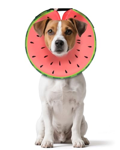 Inflatable Dog Cone (Red / S(9"-10"))