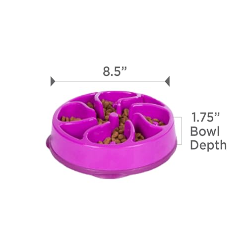 Fun Feeder Slo Bowl (Purple / Medium)