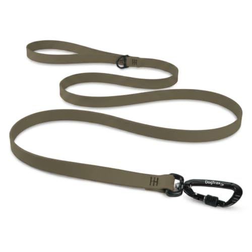 Essential Biothane Dog Leash (Olive Green / 3/4 In x 4 Feet)