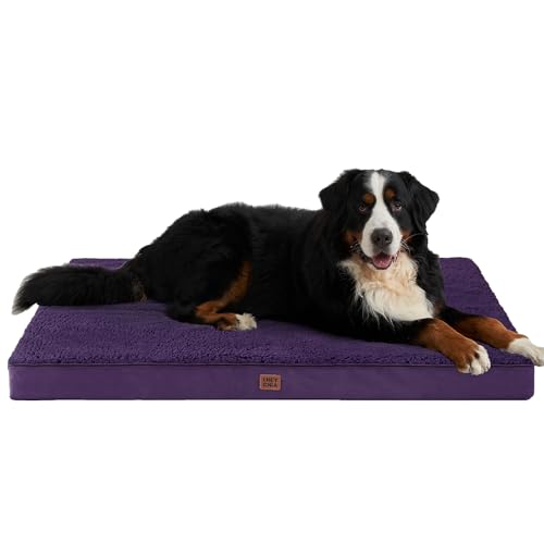 Orthopedic Dog Bed Extra Large with Removable Washable Cover (50*36*4 inches / Purple)