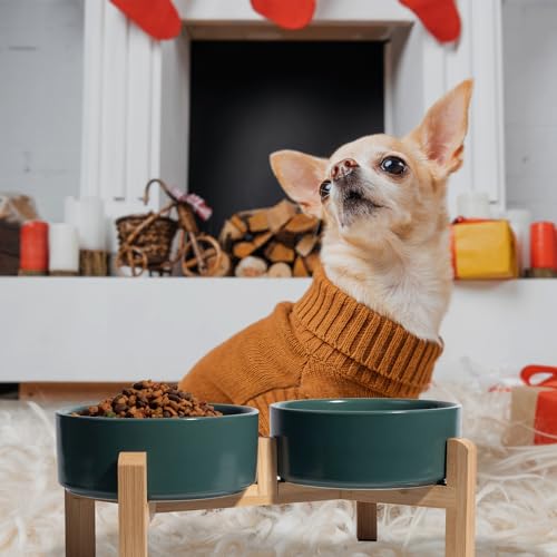 Elevated Ceramic Dog Bowl (Green / Small)