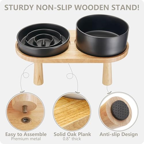 Ceramic Slow Feeder and Water Bowl Set for Small Dogs (Black / 6" D)