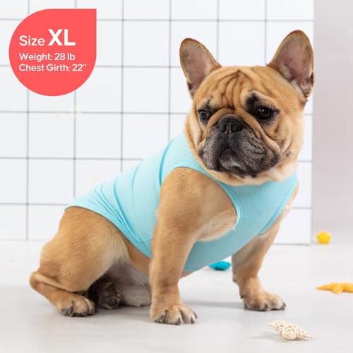 2Pack Dog Shirts for Small Dogs Breathable Mesh Tank Top (Small (4-7lbs) / 1# 2Pack (Flamingo+blue))