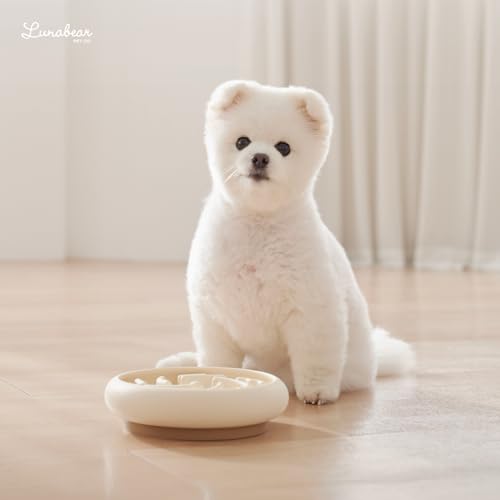 Slow Feeder Dog Bowls Made of Premium Food (Ivory / Standard)