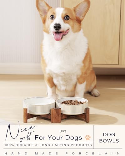 Elevated Ceramic Dog Cat Bowl Set (Small-1.8Cups / Vintage White)