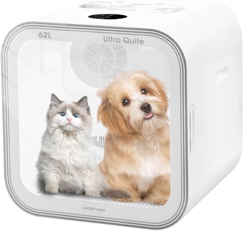 Automatic Pet Dryer Box for Cats and Small Dogs (62L)