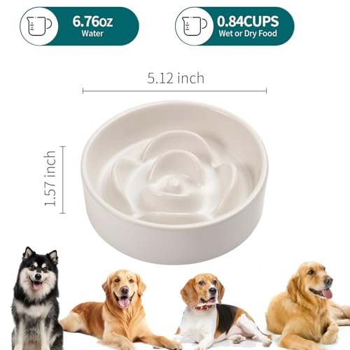 White Ceramic Slow Feeder Dog Bowl for Small and Medium Breeds (6.1 In White Slow Feeder Bowl / White)