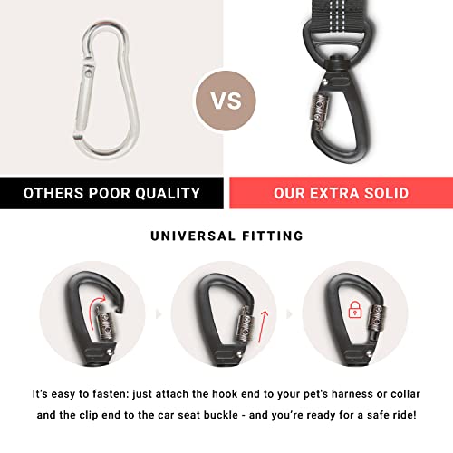 Dog Seat Belt for Car