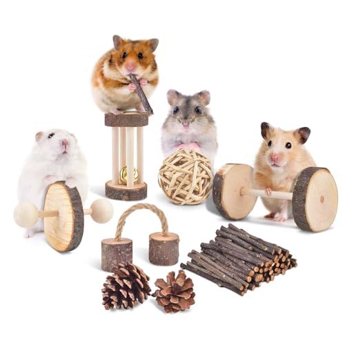 11 Pack Chinchillas Chew Toys (11 Pack)