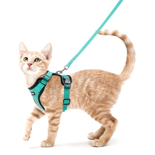 Cat Harness and Leash Set (S / Emerald)