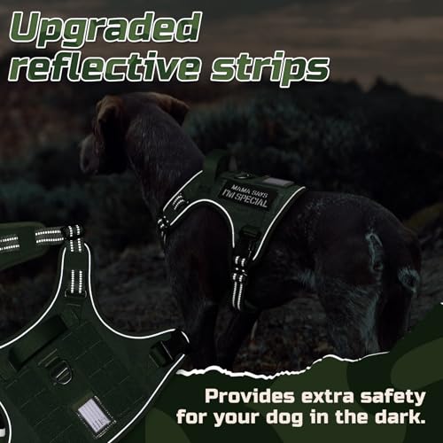 Tactical Dog Harness for Medium (Green / Medium)