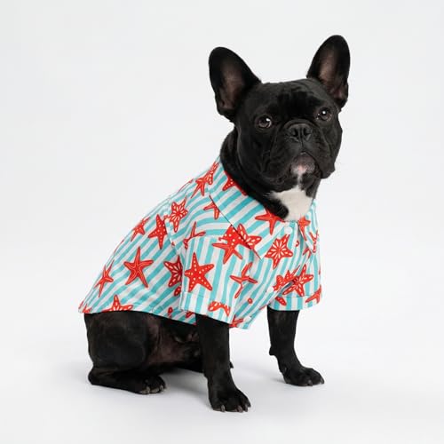 Starfish Striped Dog Shirt (X-Small / Starfish)